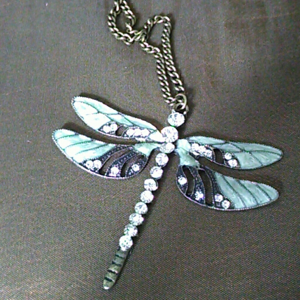 Dragonfly!